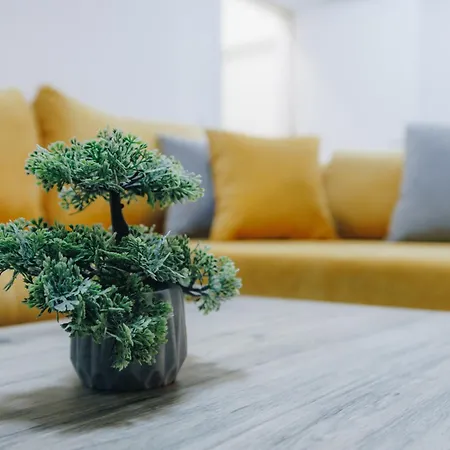 Lust Premium Iv Center Park *