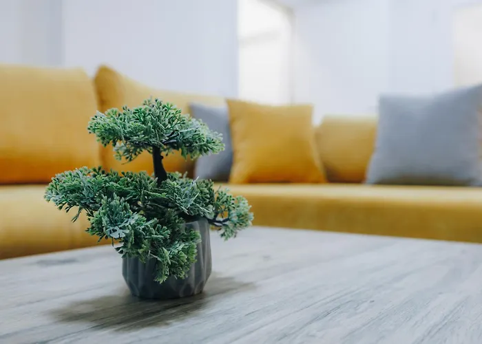 Lust Premium Iv Center Park *